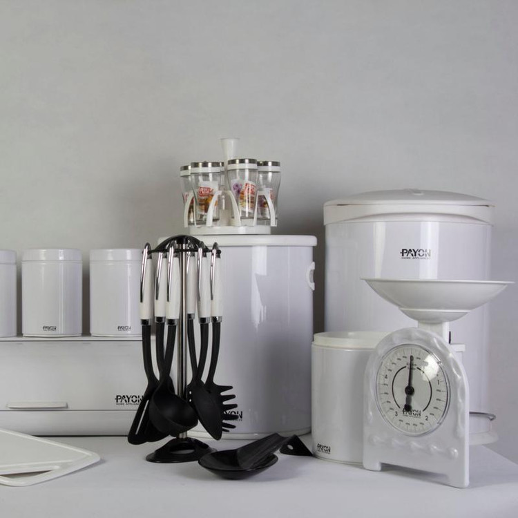 سرویس پایون